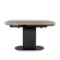 _DSF1530.png